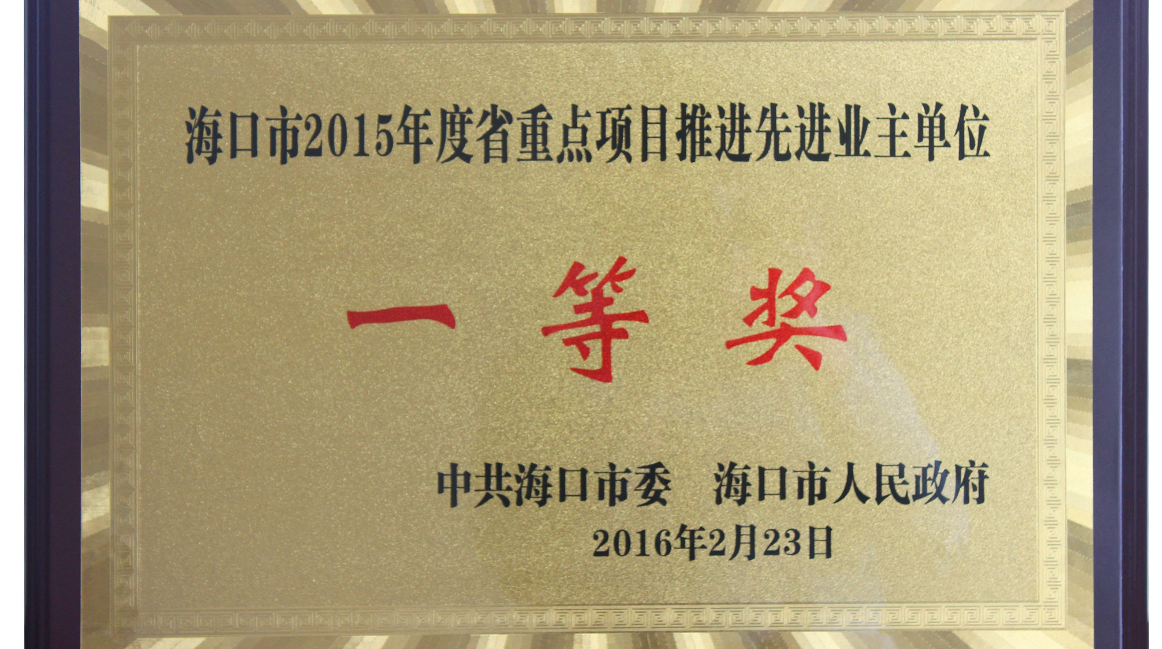 省重點項目推進先進業主單位